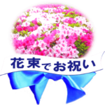 花束でお祝い（写真使用）