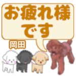 岡田「おかだ」さんのトイプードル会話