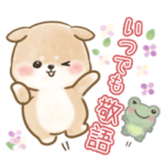 礼儀正しい わんチャイ♡敬語