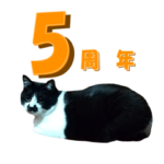 木更津猫チョビすけ_05