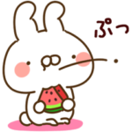 とびだす★夏★あつ～い★ねことうさぎ