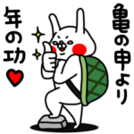 全力うさぎおばちゃん編