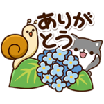 ちびクロシバ☆梅雨から初夏