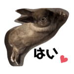 パフくんパート2とクッキー