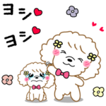 トイプードル・ホワイトの日常会話・動く！