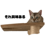 シンガプーラのマリオン