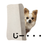 マリオのまーちゃん