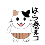 腹巻きを着けた猫