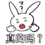 怒るとこわいウサギさん
