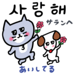 あやしい韓国語の灰色キャット