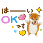 かわいい犬❤️敬語❤️柴犬❤️チビカワ犬