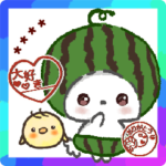 モコモコになりたいワンコ♡夏♡スイカ