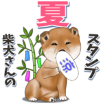 柴犬さんの夏スタンプ