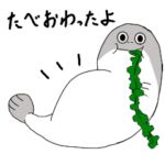 日常生活で使えるサカバンバスピス