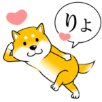 激しく尻尾をふる柴犬 