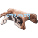 とにかくかわちい、ウメメとマルル♡