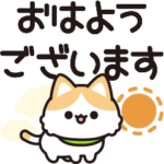 飛び出す♪茶色ハチワレ猫