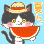 夏のはちわれ猫♪夏のあいさつ&暑中見舞い