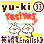 専用33＜英語/English＞