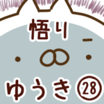 専用28＜悟り＞