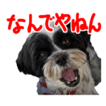 あんず　公式スタンプ 