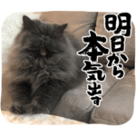 Stamps fit for a Pushking