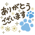 夏のシンプルな大人可愛い肉球