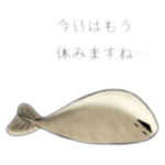 ゆるゆる〜なサカバンバスピス