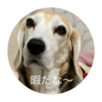 ビーグルのペコちゃん