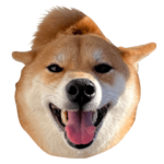 柴犬えびちゃん