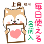 上田様専用★毎日使える柴犬!お名前入り