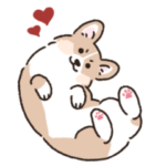 コーギーまみれのLINEスタンプvol2