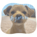 ひまわりちゃん1周年記念