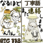 シーズー犬 118『丁寧語』