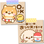 夏の豆柴犬♡トイプードル