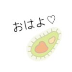 かわちいゾウリムシ