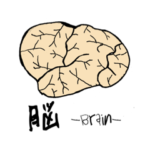 脳-brain-