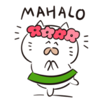 フラダンス猫・ゆるっと踊るフラニャンス