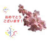 春らんまん桜スタンプ