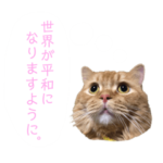 垣花ちゅらくん