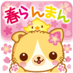 春らんまんのマンチカンキャット♪