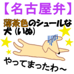 ★名古屋弁★薄茶色のワンコ♪