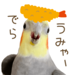 名古屋弁だよ！コハクちゃん（愛知県）