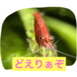 アクアリウムin名古屋弁