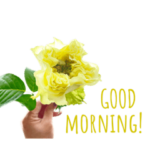 クルフルールの花と英語スタンプ