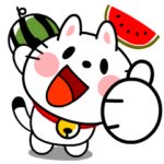 猫ニャンコ夏の挨拶