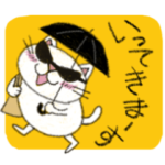 Juns 猫の夏の毎日