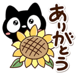 クロネコすたんぷの夏