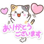 お茶目な三毛猫