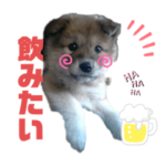 赤ちゃんポンのお試しスタンプ